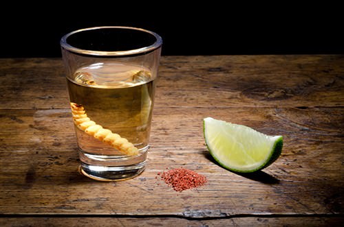 Mezcal with Worm