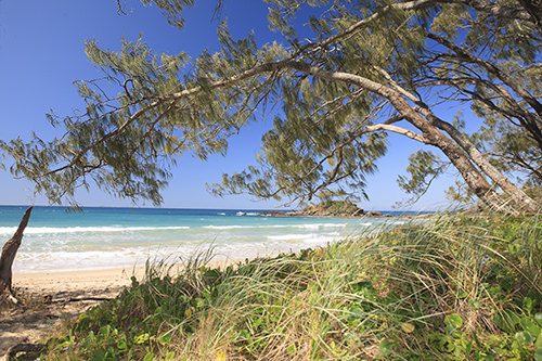 Pebbly Beach Landscape