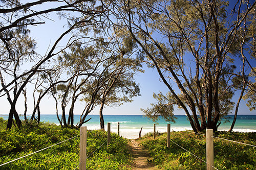 Pebbly Beach Station Creek