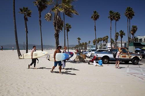 Venice Beach Surfers