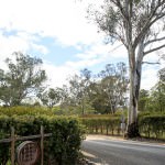 Mudgee Wine Region NSW