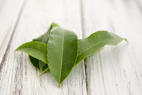 Lemon Myrtle Leaves