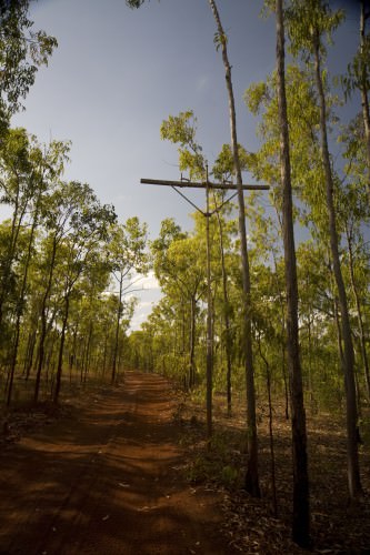 The Old Telegraph Track