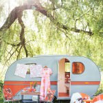 Glamping Camping Van