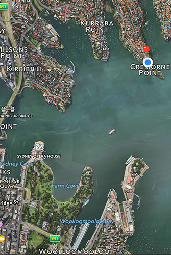Cremorne Point New Year's Eve House Swap