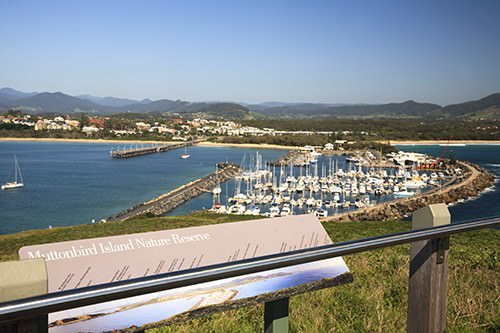 Lookout at Muttonbird Island