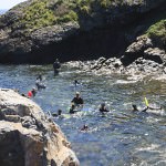 Snorkelling at Northwall