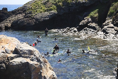 Snorkelling at Northwall