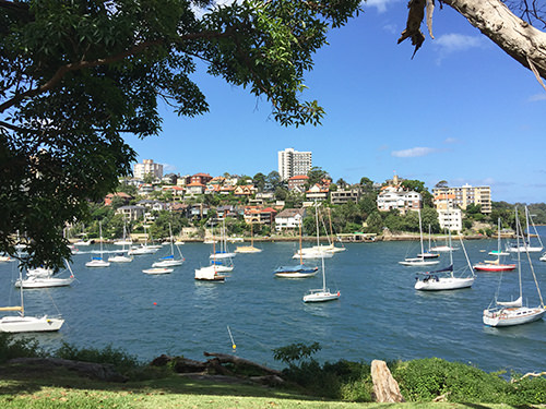Sydney Harbour - Boats