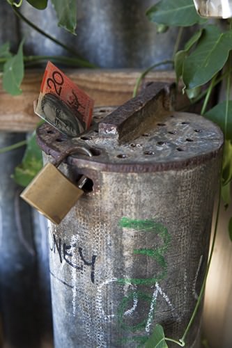 Blueberry Money Box