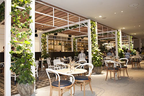 Inside at the Garden Kitchen and Bar Jupiters Casino