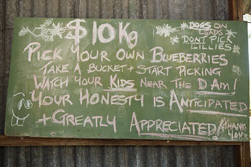 Pick Your Own Blueberries Sign