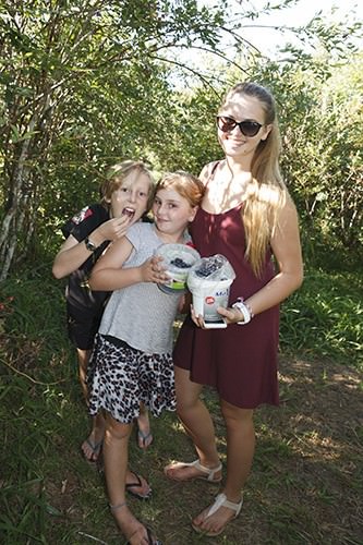 Kids Picking Blueberries