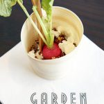 Red Quinoa Salad w Planted Radish