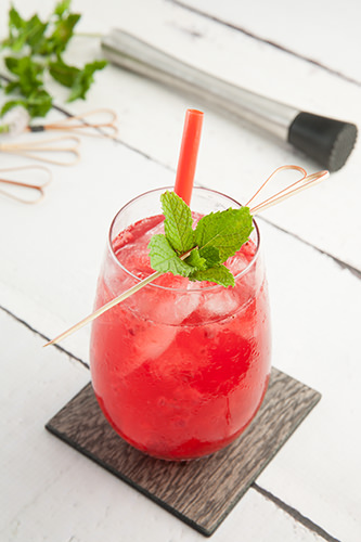 Cranberry Ginger Diet Cocktail