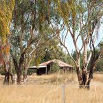 7 Oaks Goat Shed on the track to the fossicking site