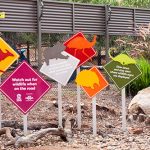 Australian Native Animals Dubbi Zoo