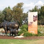 Dubbo Taronga Western Plain Zoo