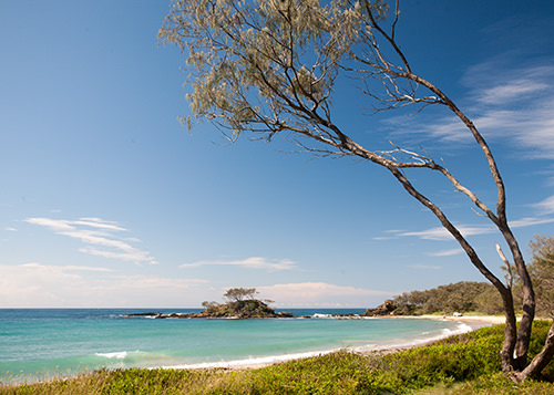 Pebbly Beach Yuraygir National Park NSW