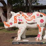 Rhino Art Western Plain Zoo