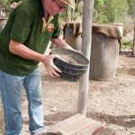 Dave Sifting the Sapphire dirt