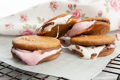 Smores Dessert Smores Dessert