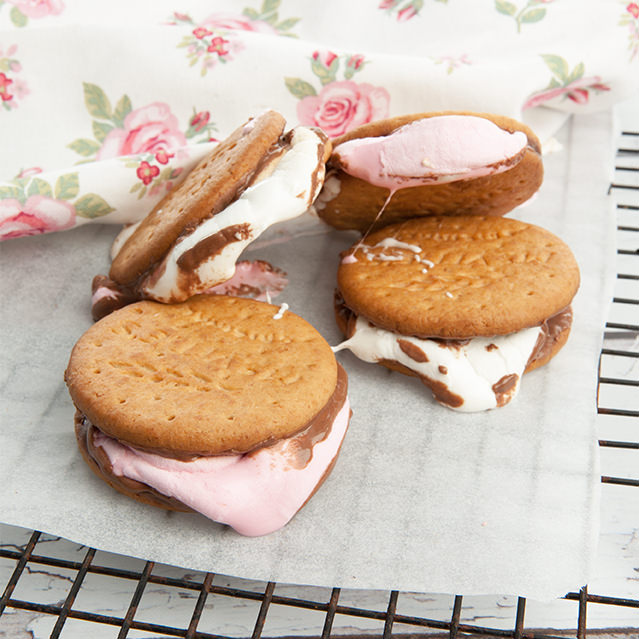 Campfire Smores Dessert Ready To Eat Campfire Smores Dessert Ready To Eat