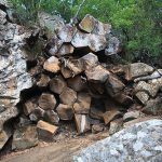 Fallen Columns at Sawn Rock