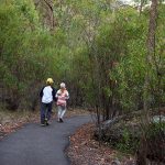 Mount Kaputar National Park Hike