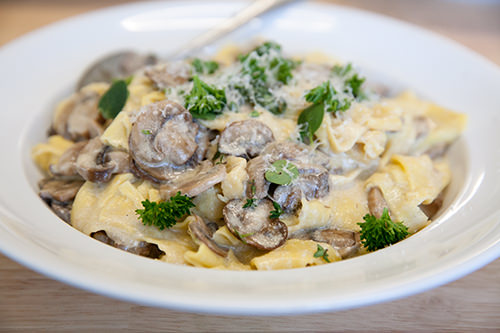 Pasta in Mushroom Cream Sauce