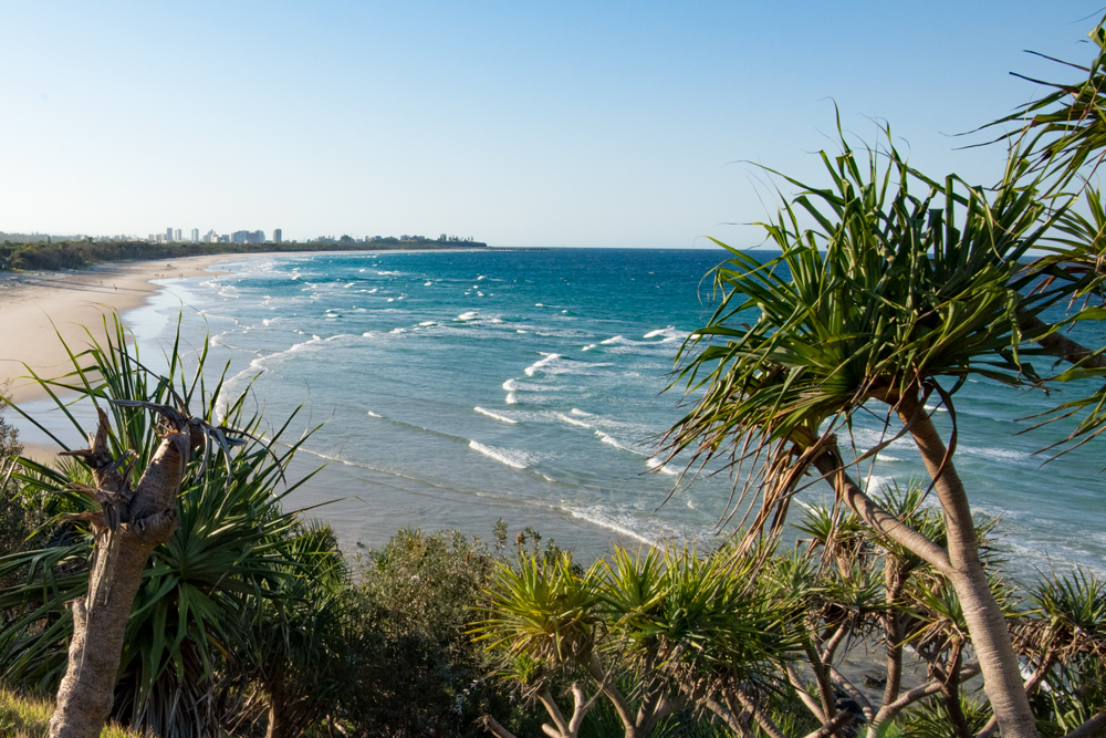 View of Fingal Beach and the Gold Coast from Fingal Head
