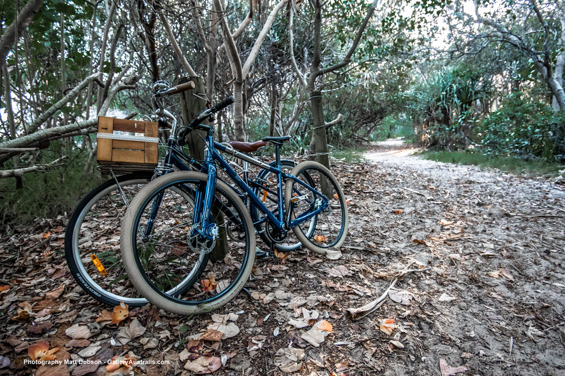 Fingal Head path to lighthous