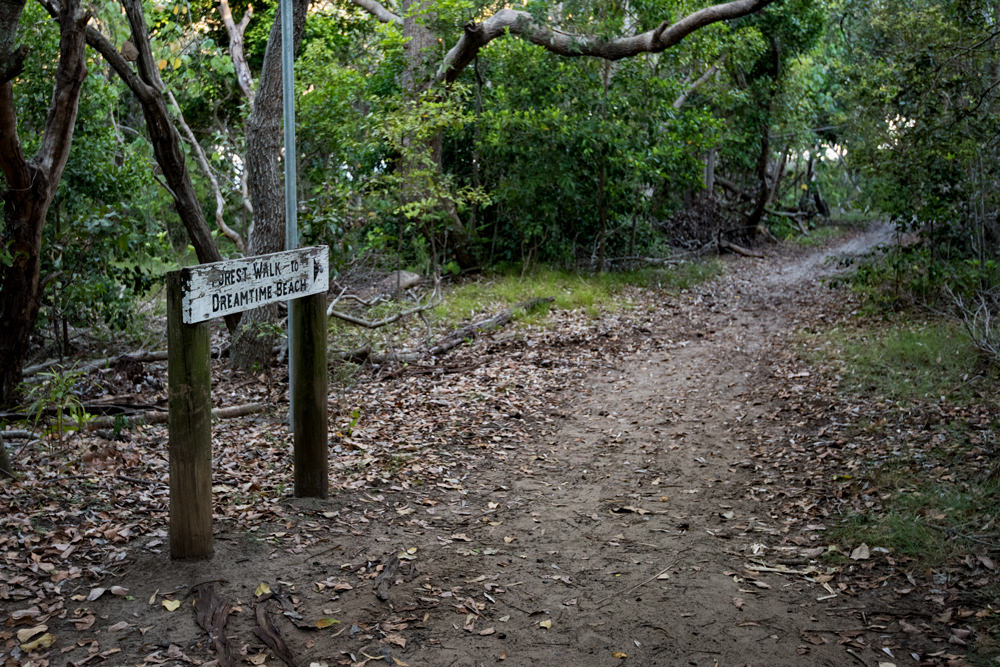 path to dreamtime beach nsw