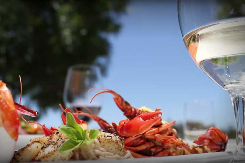 beautiful voyager estate winery restaurant